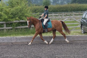 ISIS Dressage Challenge 2008